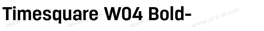 Timesquare W04 Bold字体转换